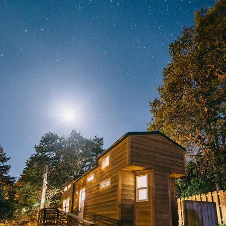 Umpqua'S Last Resort - Wilderness Cabins, Rv Park & Glamping Idleyld Park ภายนอก รูปภาพ