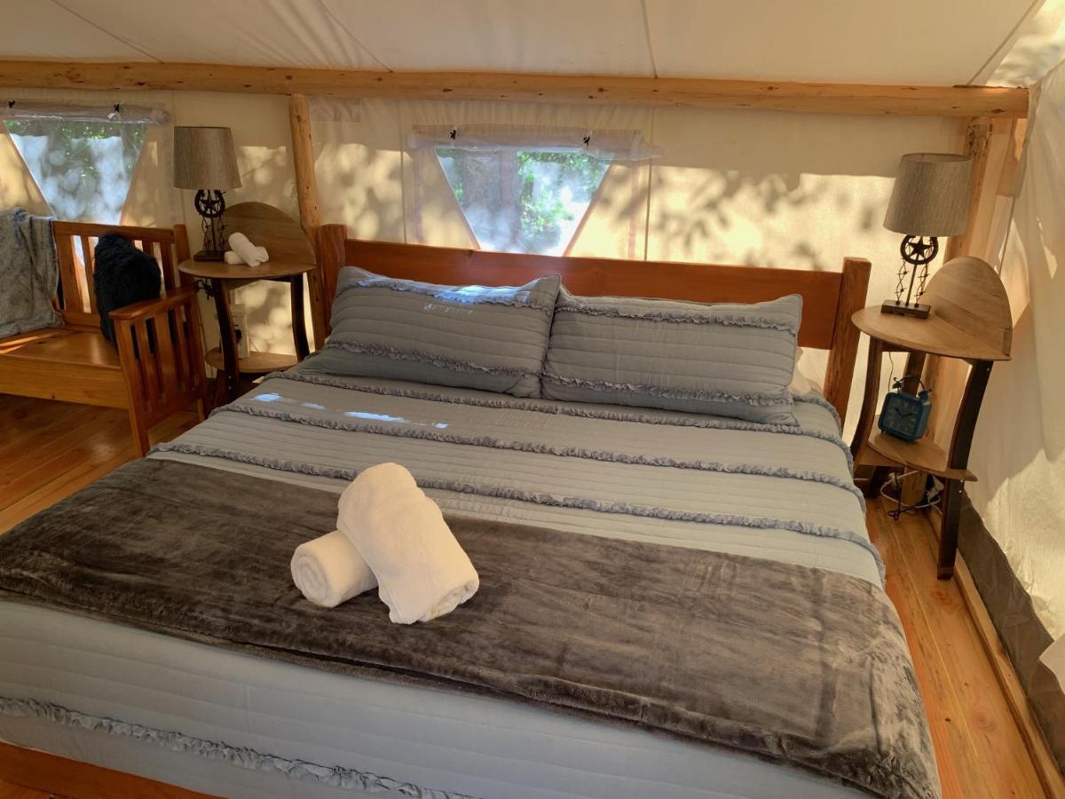 Umpqua'S Last Resort - Wilderness Cabins, Rv Park & Glamping Idleyld Park ภายนอก รูปภาพ